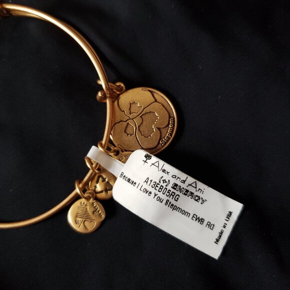 ☮️ New Alex and Ani Because I Love You Stepmom EWB RG  Bracelet Bangle   4 - Picture 4 of 5